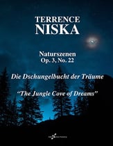 Naturszenen Op. 3, No. 22 piano sheet music cover
